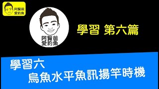 【阿賢爸】愛釣魚 (學習六) 烏魚水平魚訊揚竿時機  (大咬釣組金珠釣法珠鉤釣法)