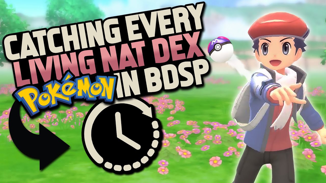 Pokémon Brilliant Diamond Shining Pearl Complete Shiny Living Dex Pokedex  Full