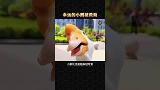 幸运的小鹅被救助