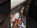 Black label scotch whisky mumbai price 4,200 INR ( 75cl,40% alc V/v )