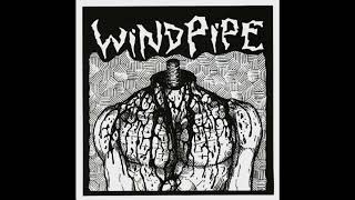 Windpipe - Windpipe 7
Non-Commercial Records/Stomp Yer Gonads Records, 2006.
A1 - Instra Menstrual 0:00
A2 - Create War 1:25
A3 - Humanity 2:17
B1 - Disobey 3:23
B2 - Intro/No Questions 4:31 Windpipe - Windpipe 7
