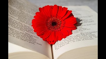 THE 101 - Library Research - Summer 2022 and Beyond