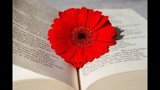THE 101 - Library Research - Summer 2022 and Beyond
