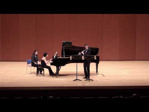 Putar Saint-Saëns: Violin Sonata No. 1 in D Minor, Op. 75: II. Allegro moderato - Edgar Moreau
