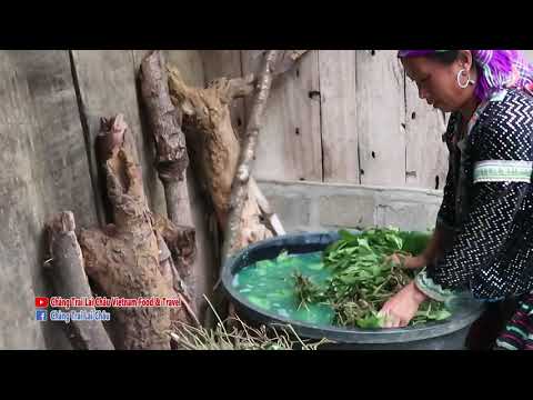 Thuốc Nhuộm Màu Chàm - Nhuộm Chàm - Bàn Tay Màu Chàm