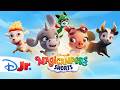 Magicampers Shorts Compilation! 🏝️🎬 | Island Adventures with Darly and Loomis! | @disneyjr