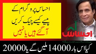How To Check Ehsaas Program Payments 2022 Apply Scholarship screenshot 5
