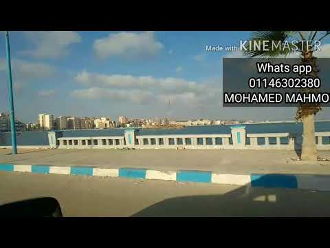 حالات واتس اب 2020 مهرجان انسوني ابعدو وسيبوني موزه توزيع خالد السفاح