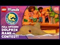 Dolphin Name Contest рџЊЉрџђ Season 3 Episode 17 Full Episode LEGO Friends The Next Chapter Dolphin Name Contest рџЊЉрџђ Season 3 Episode 17 Full Episode LEGO Friends The Next Chapter