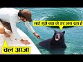 देखिए कैसे मुशिबत मैं फंसे जानवरों को लोगों ने बचाया ll Wild animal amazing rescue cought on camera