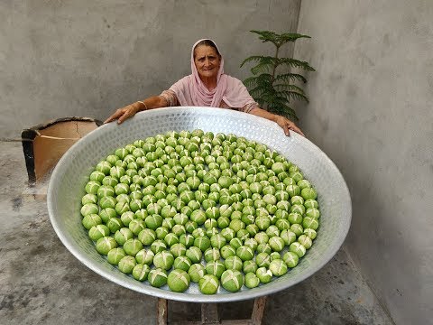 tinda-recipe-prepared-by-my-granny-|-stuffed-tinda-recipe-|-tinda-fry-|-recipes-|-veg-village-food