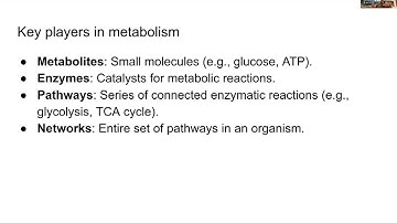Lecture22 - Metabolic Modeling - MLCB24