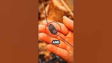 How Bees Are Tricked Into Building Hives in Days