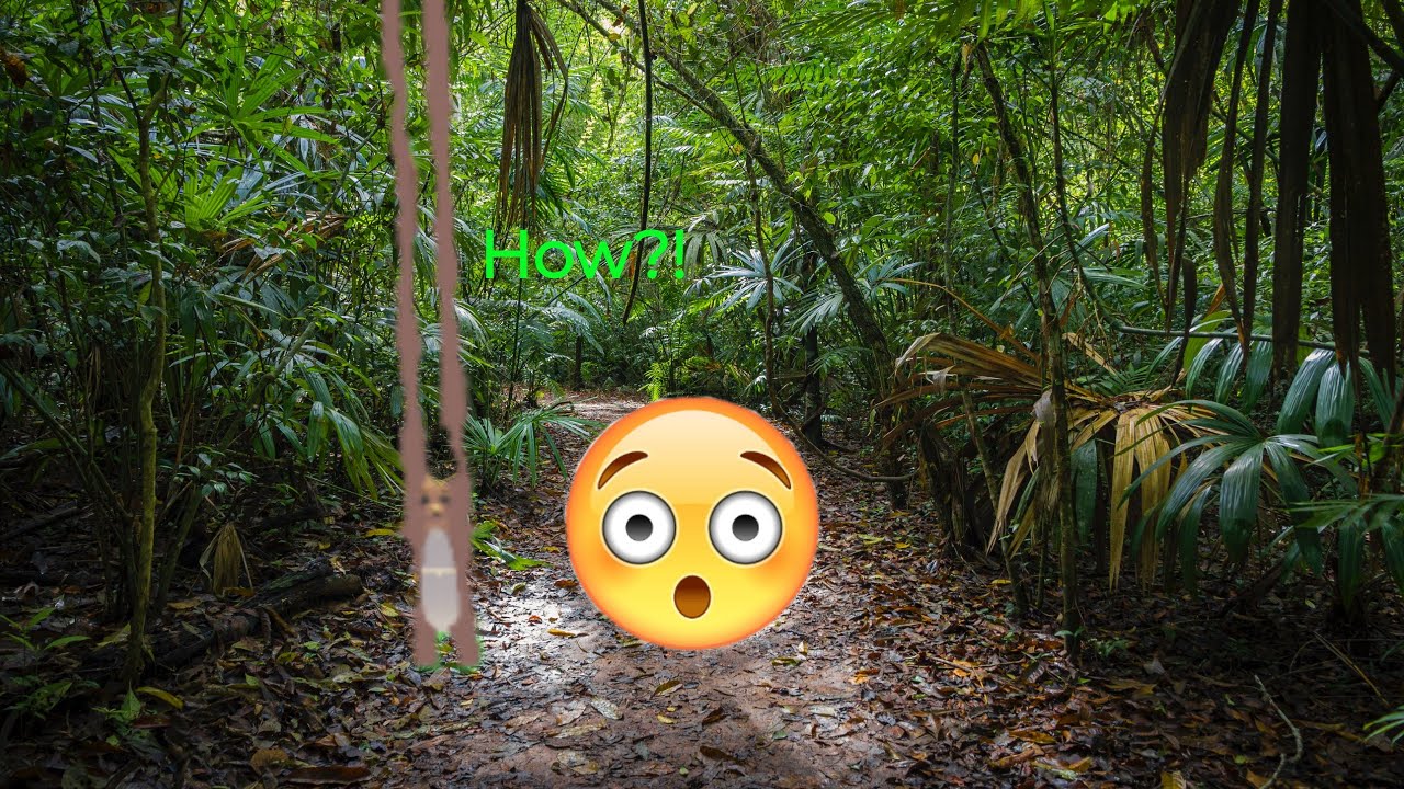 How to make your kangaroo pogo stick long! ADOPT ME *HACK* YouTube