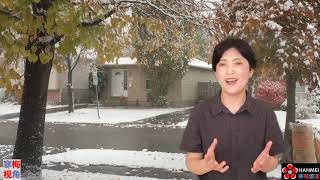 20200212-2【中央一定要重视了！】【钟南山都被带偏了！】【寒梅视角】