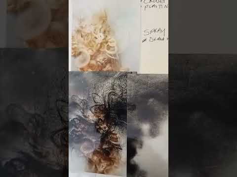 3.1 Practice and research.Sketchbook