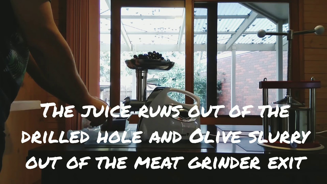 Making Olive Oil at Home with a Meat Grinder YouTube