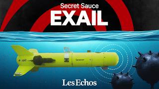 Pourquoi Thales Soffre Cette Boîte Française Pour 4 Milliards Deuros