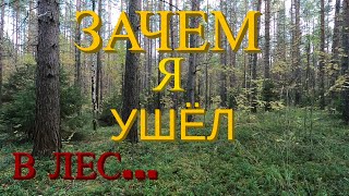 ЗАЧЕМ Я УШЁЛ В ЛЕС.../WHY DID I GO TO THE FOREST...