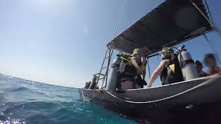 Female Scuba Diver Enters The Water Backwards