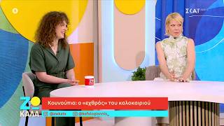 Κουνούπια: O "εχθρός" του καλοκαιριού | Ζω Καλά | 05/07/2026