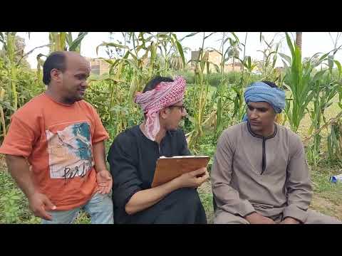 سعيد راجع من امتحان الثانويه العامه ومحلش حاجه خالص وعم شوقي جاب اخره منه