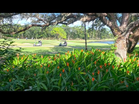 Innisbrook Golf Resort Condo with View of Copperhead Course