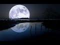 Proff feat Nikita - Luna (LiRa Remix)