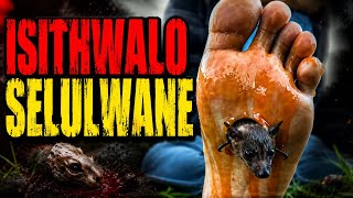 IKOROBELA SHOW S6 EP86 “ISTHWALO