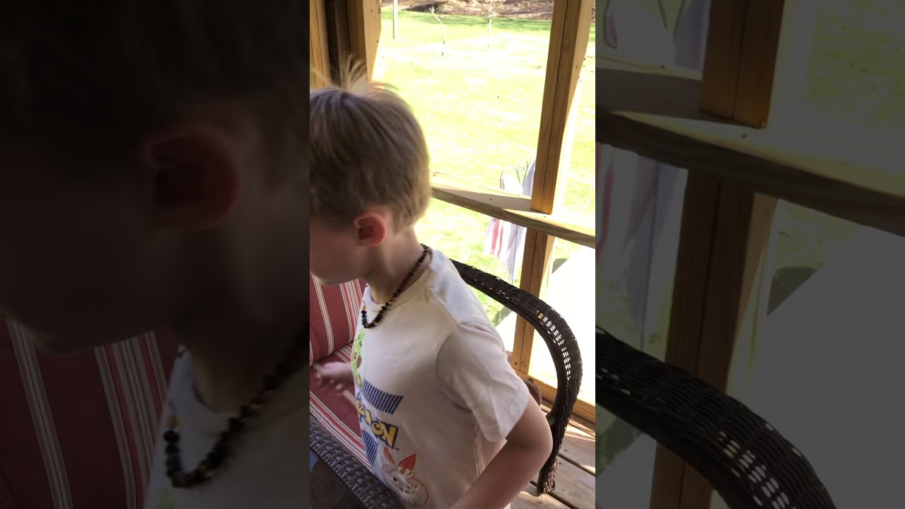 Animals with Austin - Northern Two-Lined Salamanders!