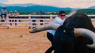 Bull Slap L Wild Hogs