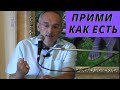 Прими как есть