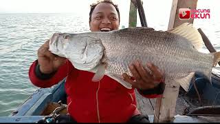 Mancing Ikan Kakap Babon Kalibangka, Pltu Kanci, Rawaurip Cirebon Kapten Perahu Budi 0895619707175