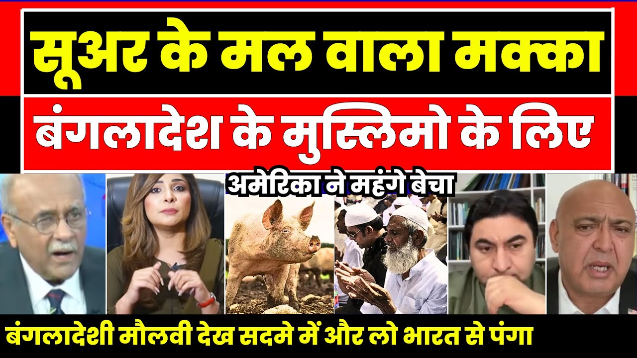 Islam me Haram suar ke mal ka makka khainge bangladeshi Pak sunn |