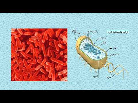 خصائص مياه الصرف الصحي الخصائص البيولوجية 