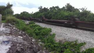 FEC TRAIN 202#334