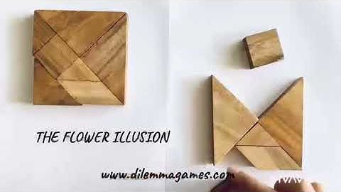 THE FLOWER TANGRAM PARADOX, a Tangram illusion Dilemma games
