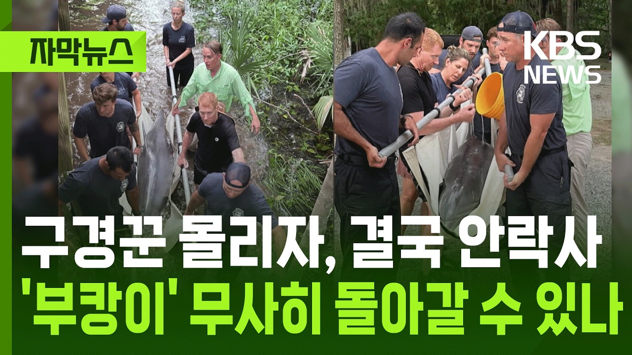 [자막뉴스] 구경꾼 몰리자, 결국 안락사, '부캉이' 무사히 돌아갈 수 있나 / KBS 2026.10.15. 썸네일