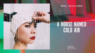 Mitski - A Horse Named Cold Air (Official Audio)
