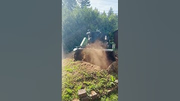 Mounded Stump Grinding With Wide Root System
