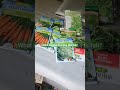 Baker's Creek seed order/a few seeds I'm starting for fall #fallgarden fallgarden#gardenlover #grow