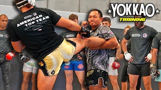 YOKKAO Training Course: Where Muay Thai Meets MMA Mastery