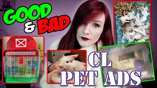 Tiny Tales Galore! | Craigslist Pet Ads | Munchie's Place