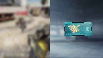 3 oldest bugs codm forgot to fix?