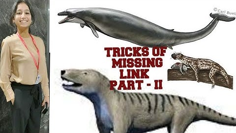 Tricks for Missing link of organisms - part II |EVOLUTION |NEET |CBSE|ICSE|BIOLOGY|12th