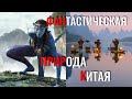 Фантастическая природа Китая😱 Карстовые горы, сколопедры и фильм Аватар. Чайник Pro Китай.