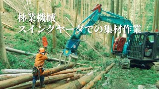 伐採後】スイングヤーダによる集材作業【意外とゆっくり】 - YouTube