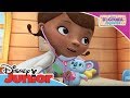 Doctora Juguetes: Momentos Especiales - Lala y su primer chequeo | Disney Junior Oficial