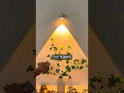 벽에 붙였다 떼는 신기한 조명의 정체