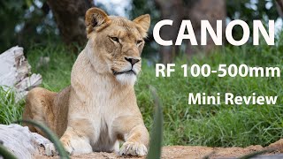 The Canon RF 100-500mm lens - Mini Review and Photo Samples